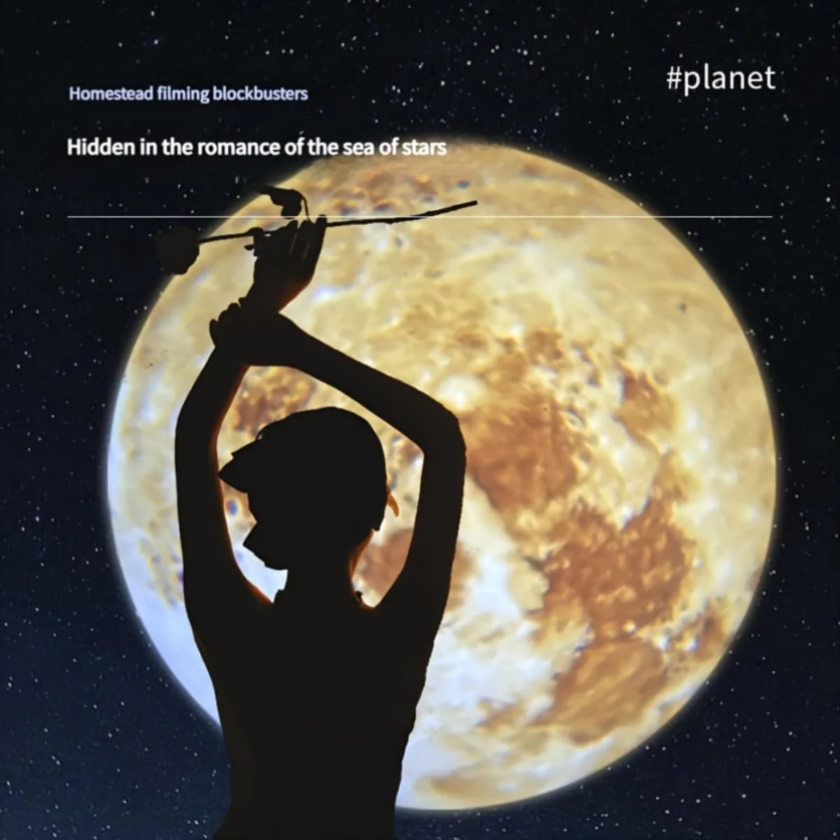 Adjustable 360°Moon Projector Lamp - Image 5