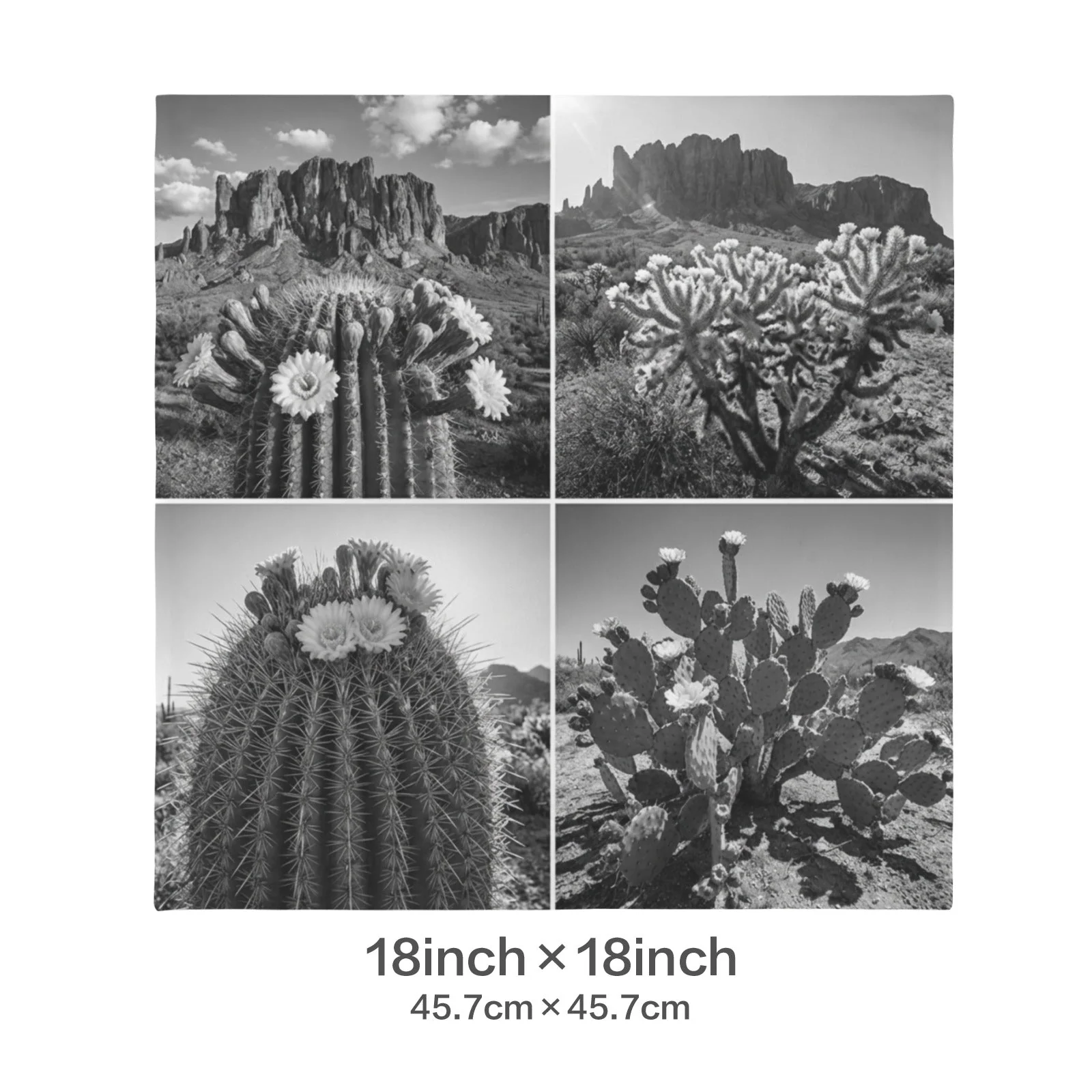 Baha Ranch Black White Cactus Velvety Soft Pillow Case Made in America - Image 4