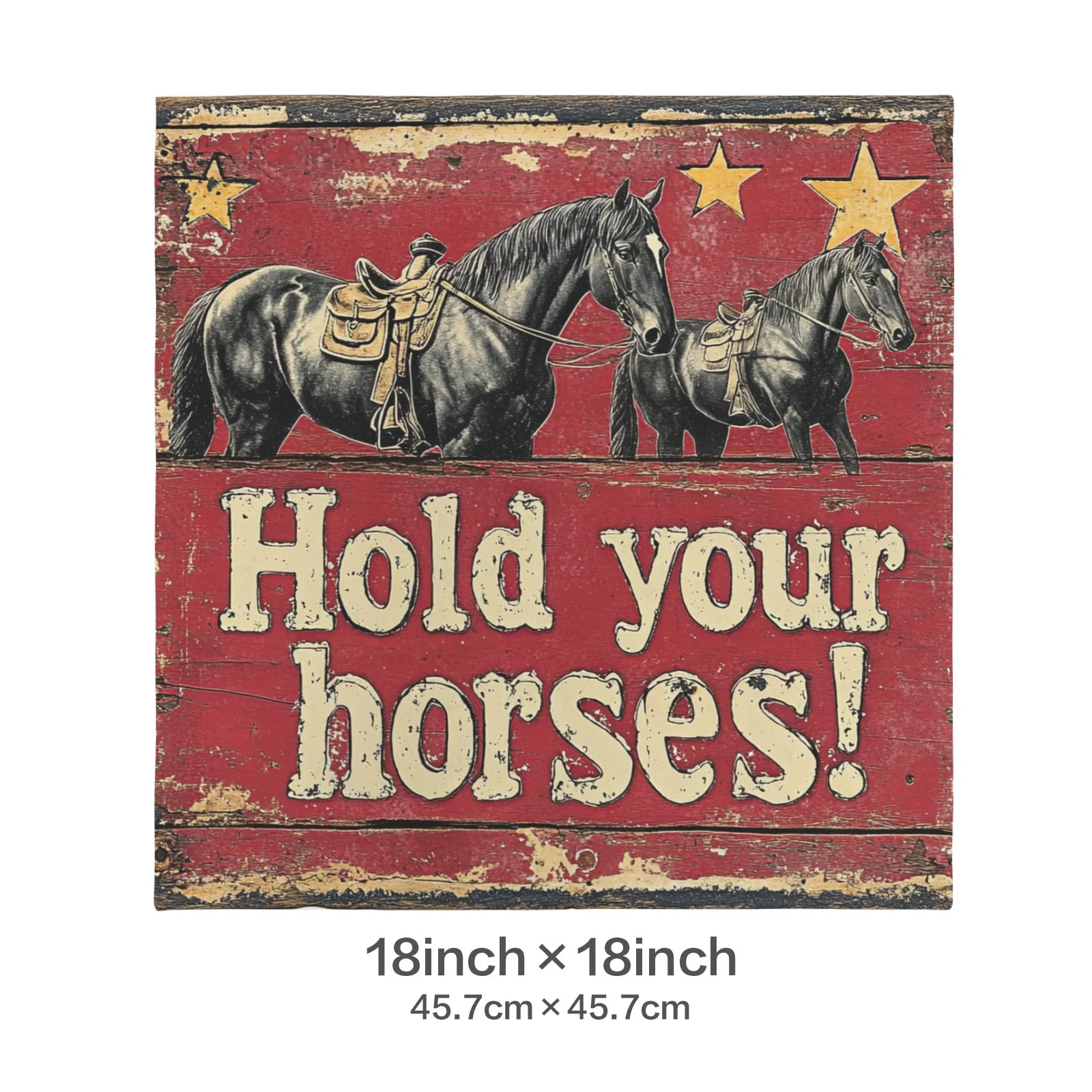 Baha Ranch Hold Your Horses Velvety Soft Pillow Case Made in America - Image 3