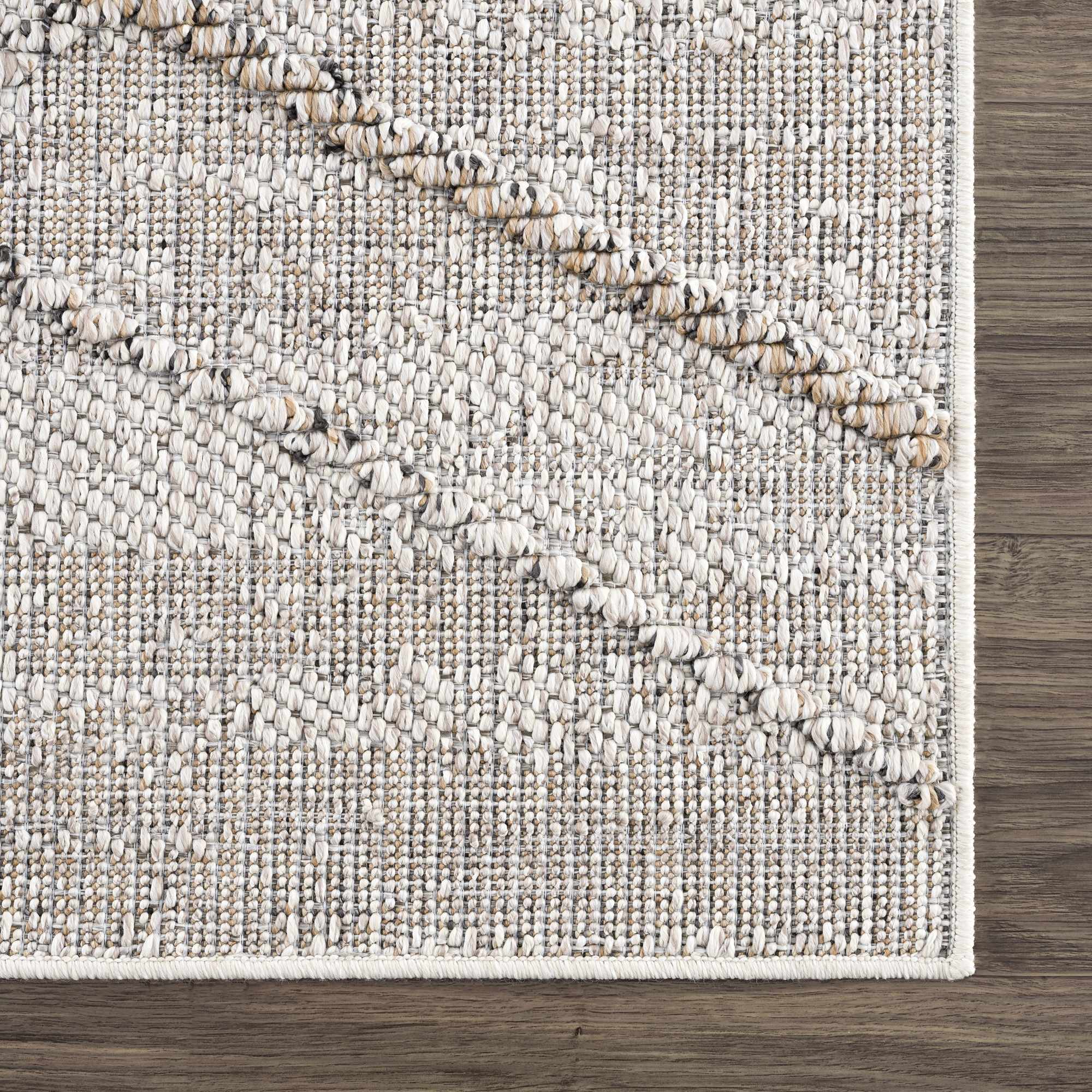 Baqer Bone & Tan Textured Performance Outdoor Rug - Clearance - Image 9