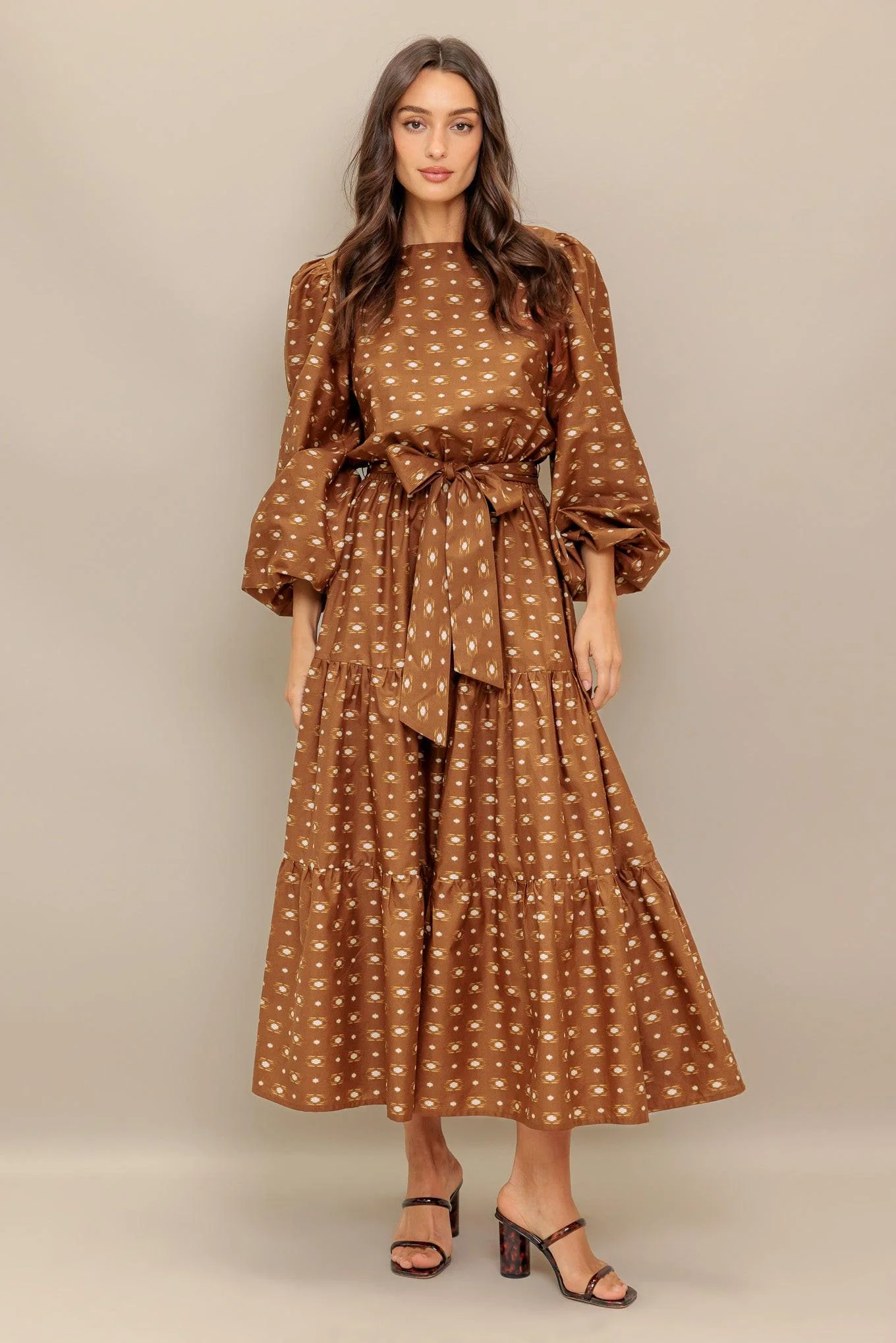 Cinnamon Waltz Woven Midi Dress - Image 5