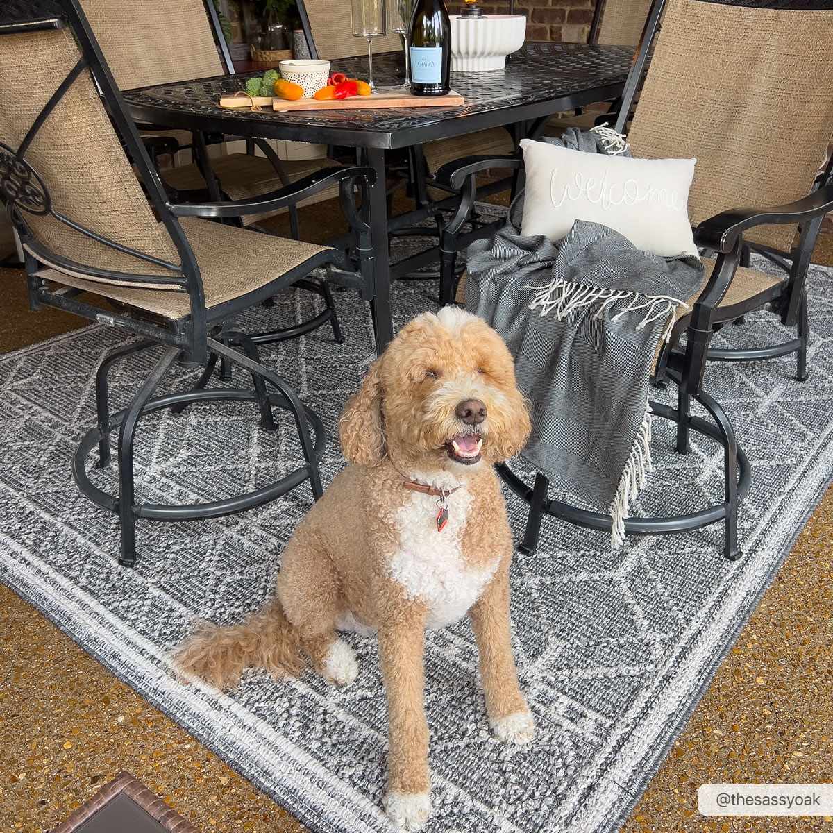 Diah Black & Bone Outdoor Area Rug - Clearance - Image 2