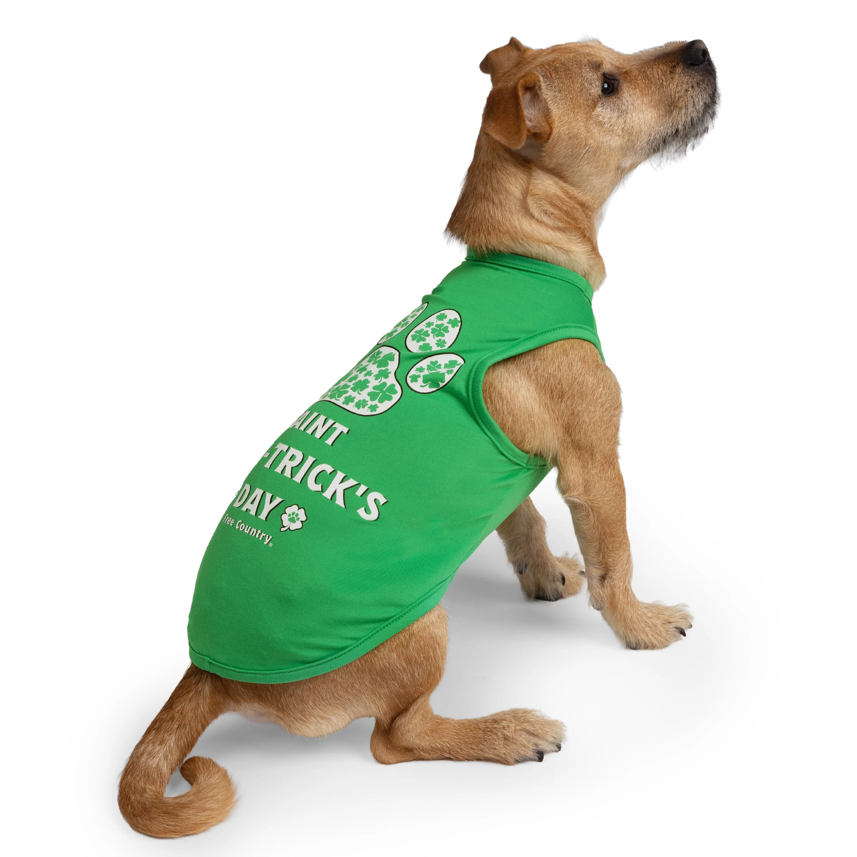 Dog Festive Tee 2-Pack - Image 13