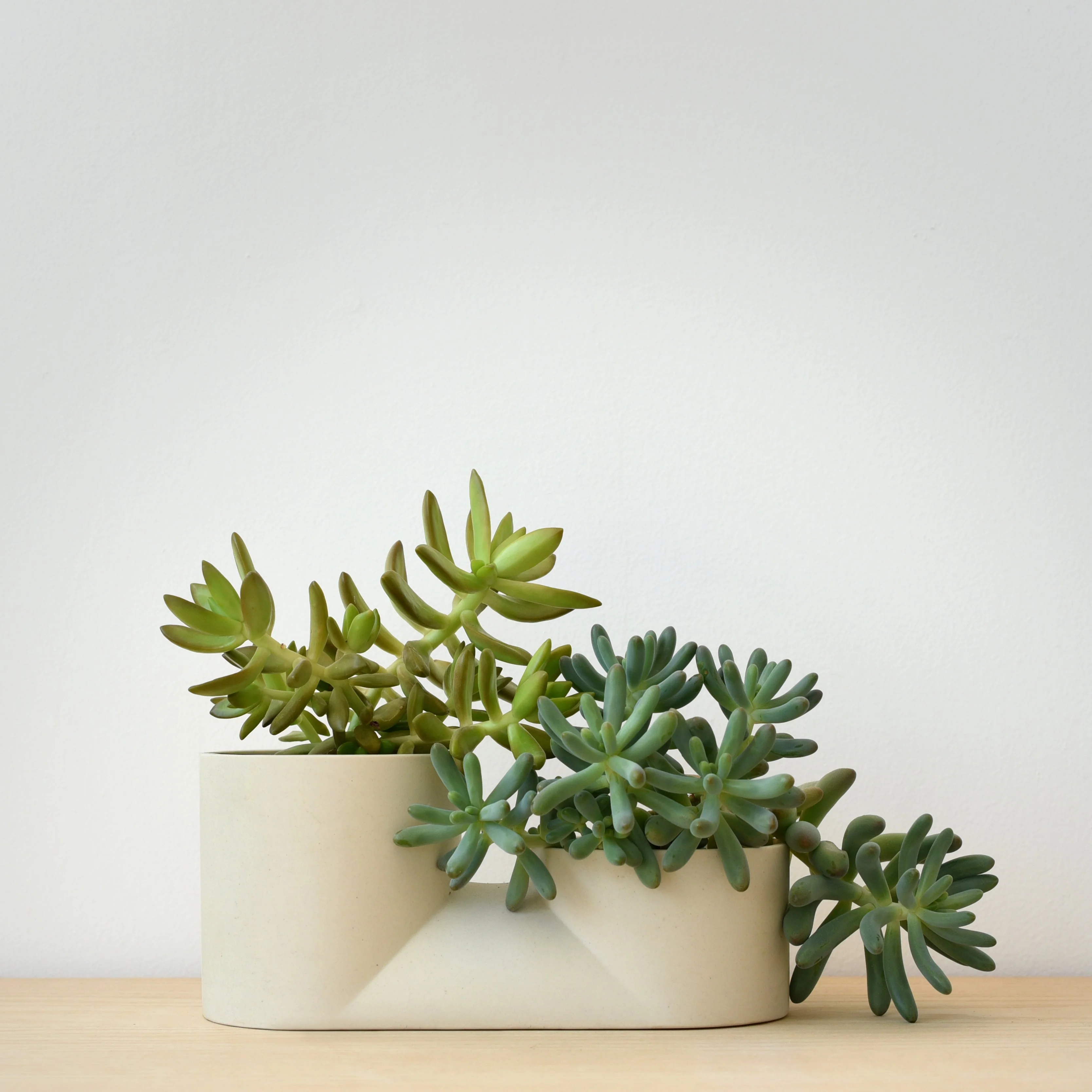 Double Planter