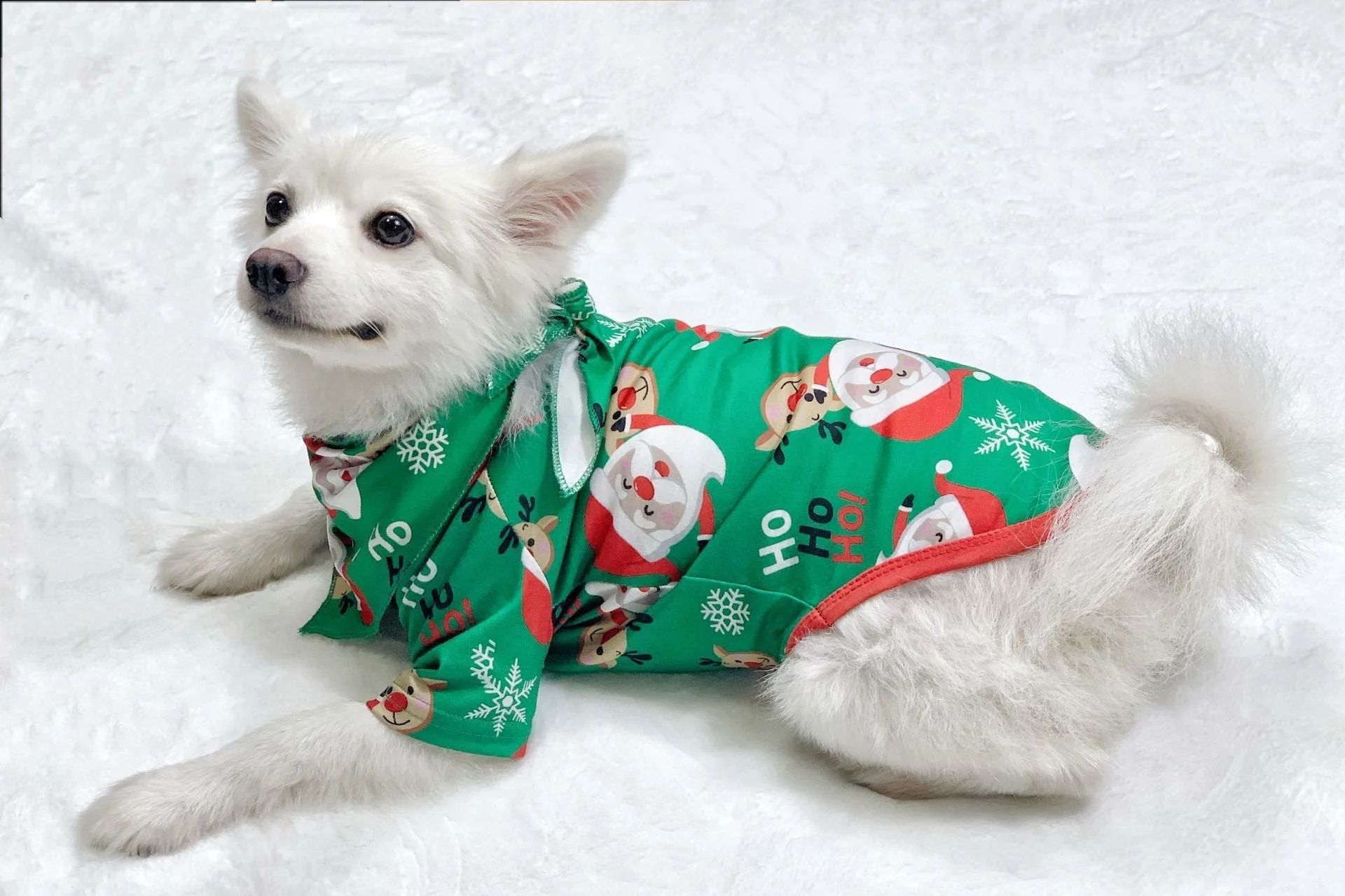 Family Matching Christmas Pajamas Santa Claus & Sleepwear for Family - Image 7