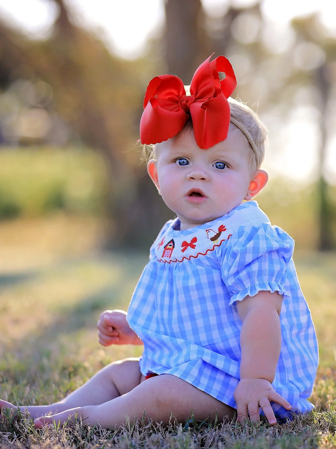 Farm Smocking Embroidered Girls Outfits - Image 3