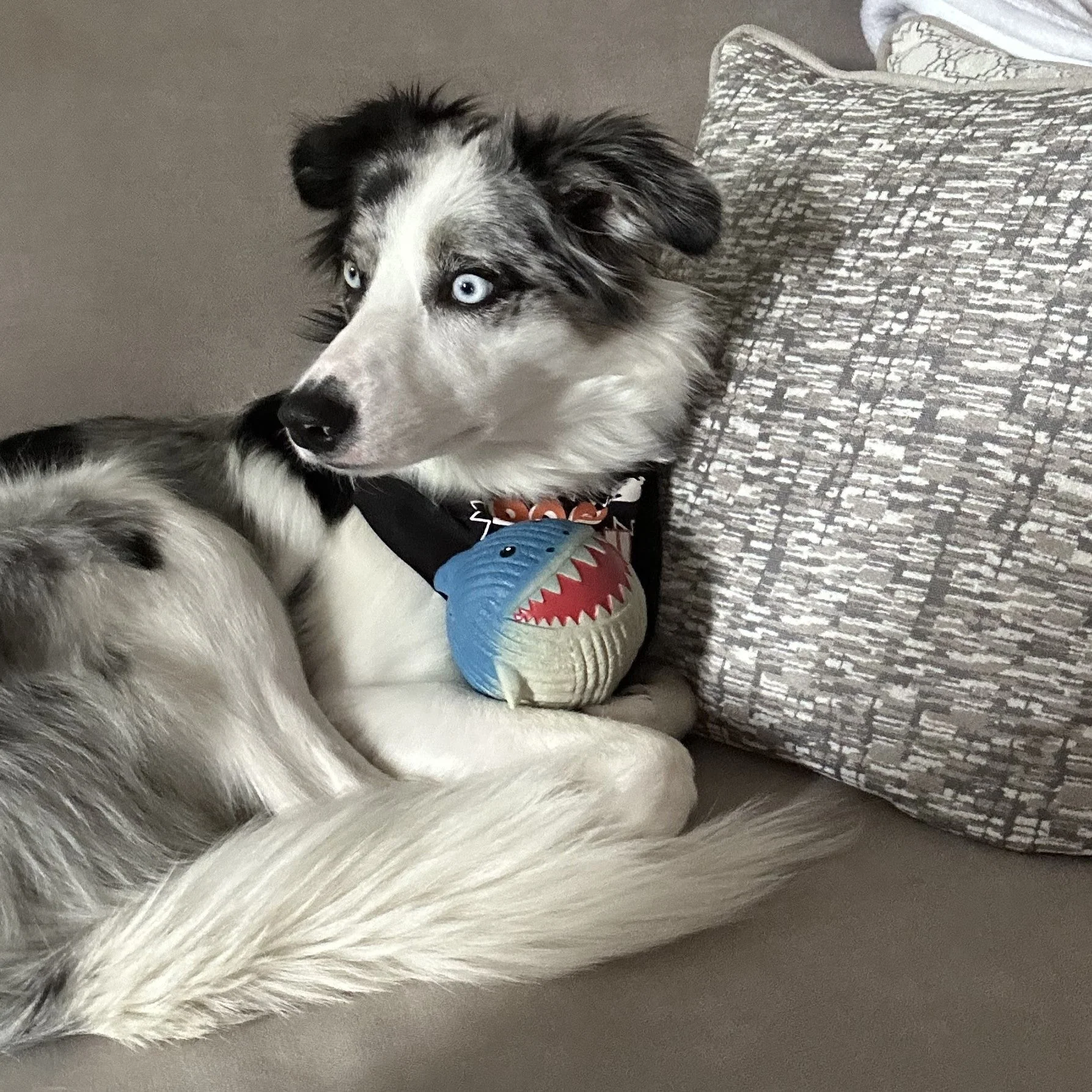 Finn the Shark Ruff-Tex® Latex Ball Dog Toy, Large - Image 7