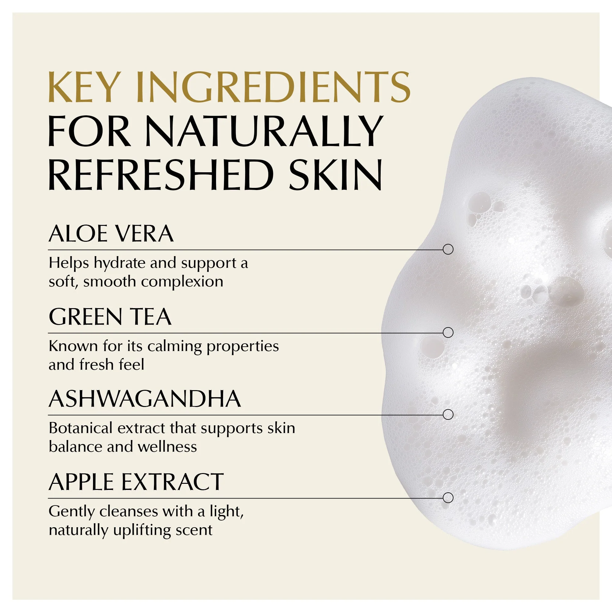 Gentle Foaming Facial Cleanser – Aloe, Apple & Ashwagandha for All Skin Types - Image 4