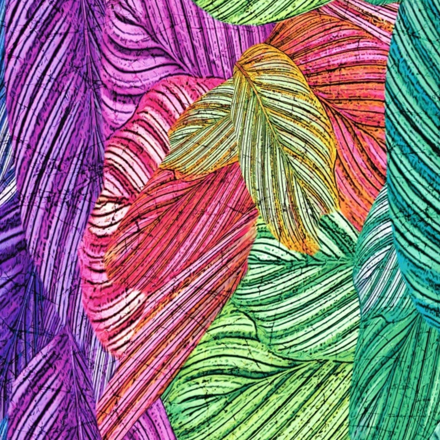 Headwrap - Samba - Image 3