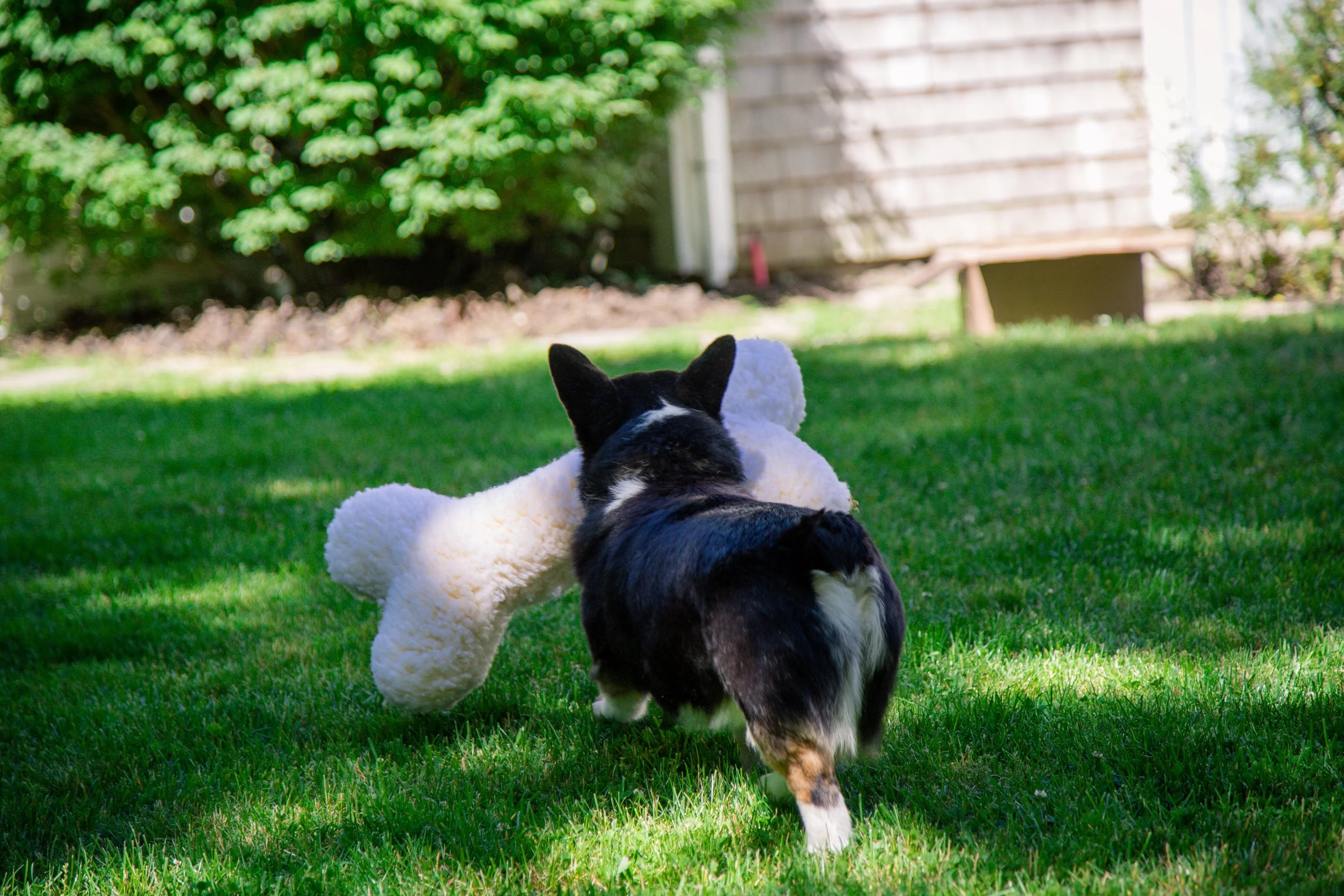 HuggleFleece® 2' Plush Bone Dog Toy - Image 3