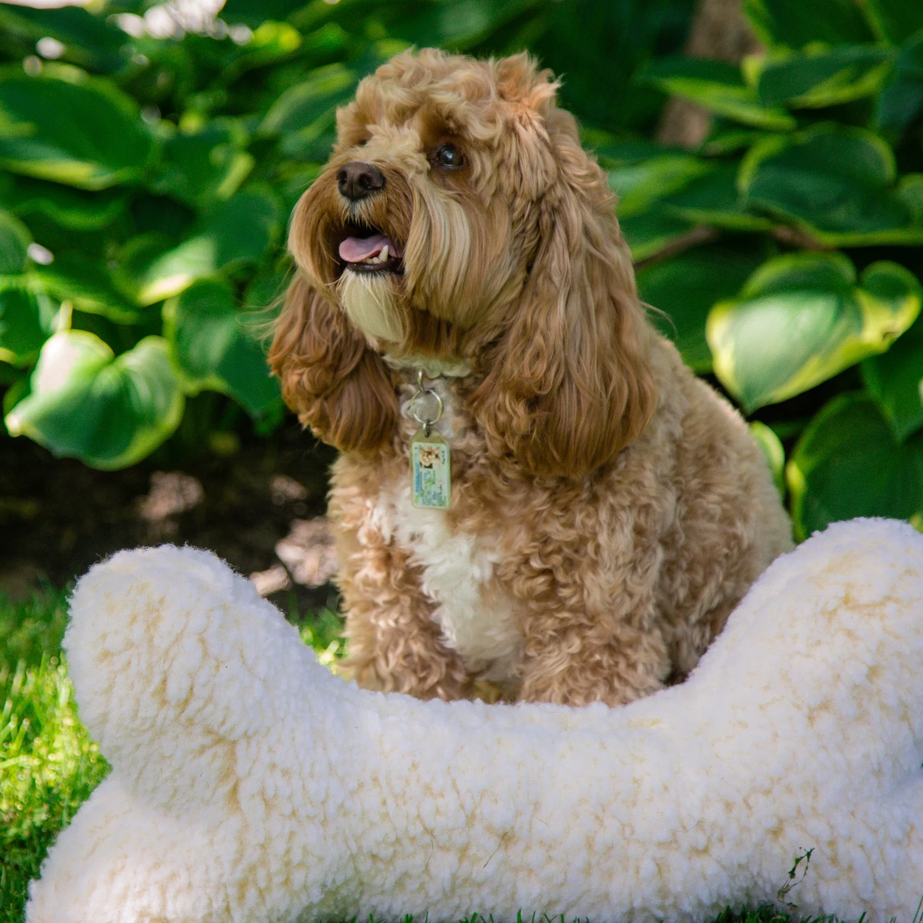 HuggleFleece® 2' Plush Bone Dog Toy - Image 4