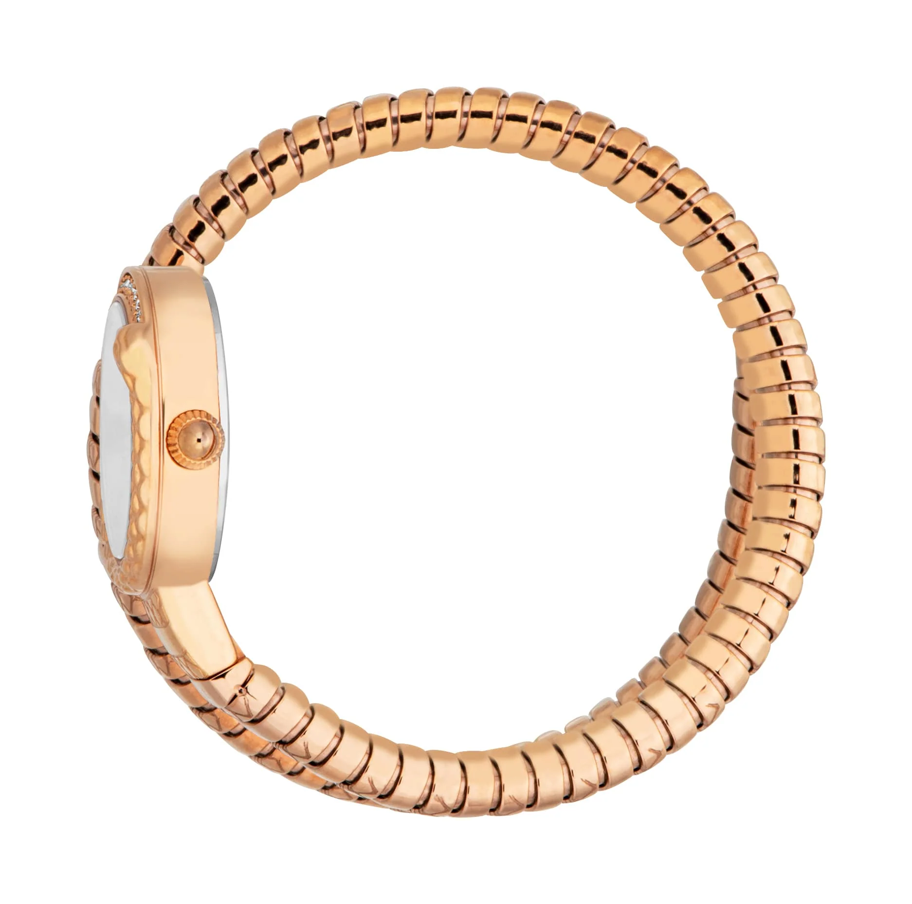 Jc1l301m0045 Just Cavalli Cerchio Snake Women’s Rose Gold Snake Watch with Silver Dial - Image 2