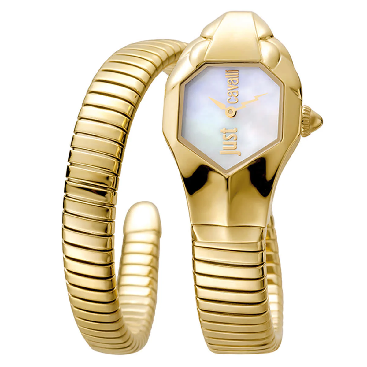 Just Cavalli Women's Glam Chic Silver Dial Stainless Steel Watch Jc1l001m0025