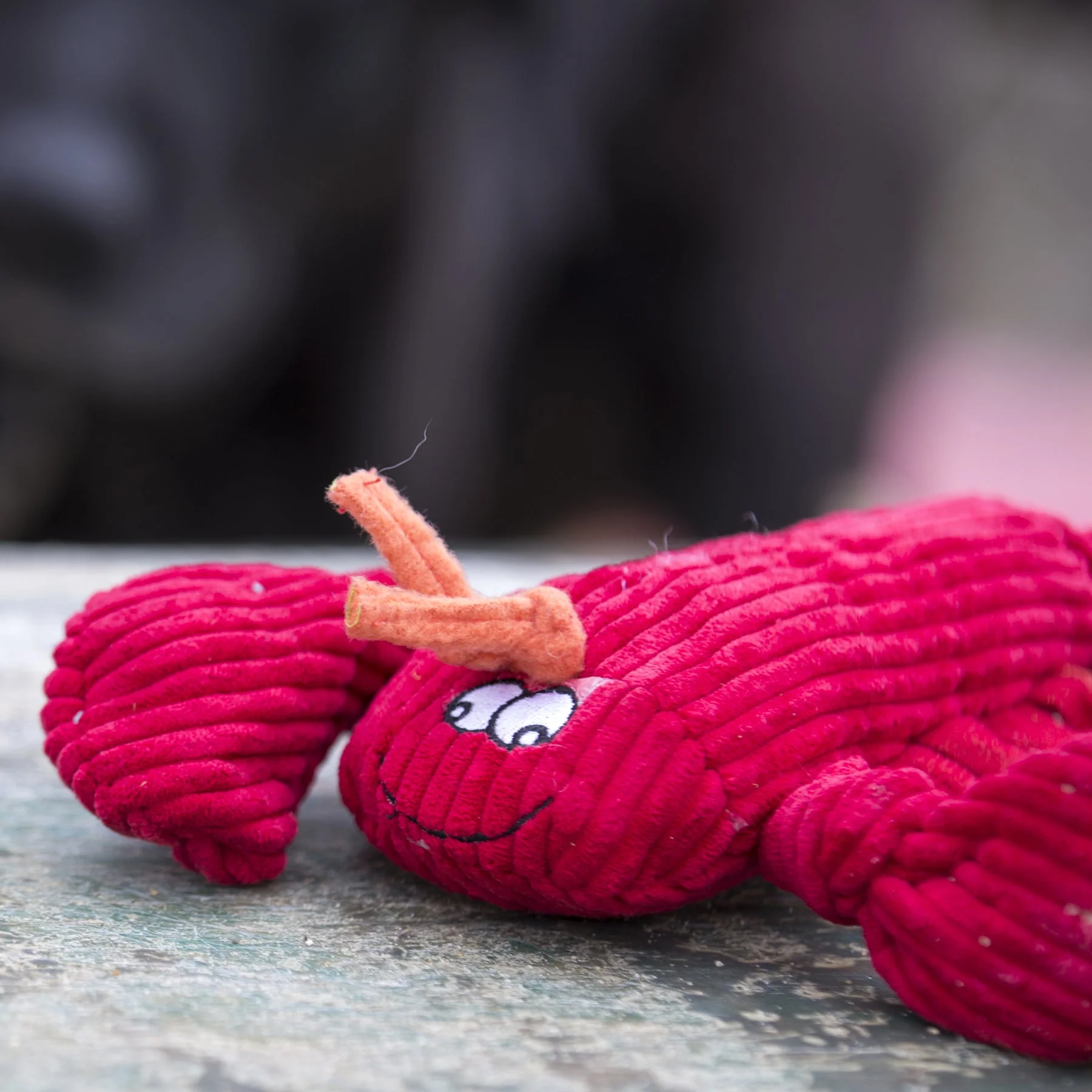 McCraken Lobsta™ Knottie® Plush Dog Toy - Image 8