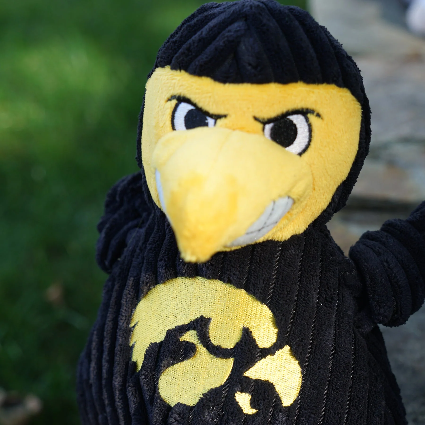 NCAA University of Iowa - Herky the Hawk Knottie® Plush Dog Toy - Image 5