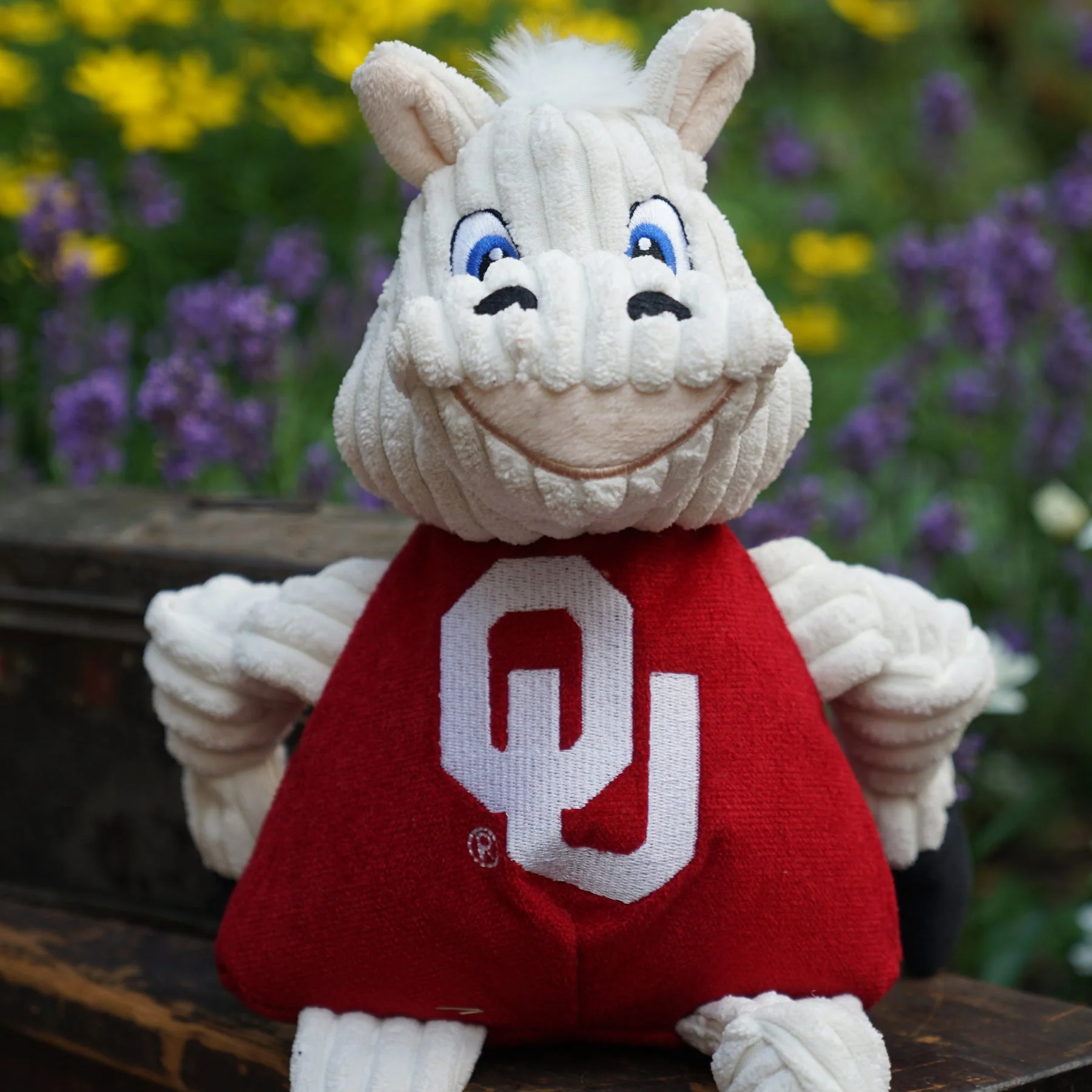 NCAA University of Oklahoma, Sooner Knottie® Plush Dog Toy - Image 6