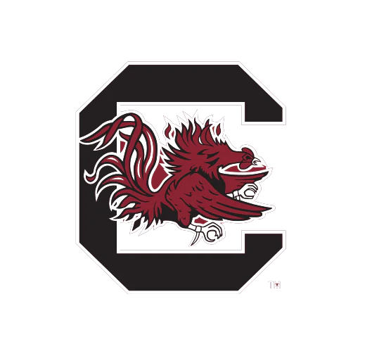 NCAA  University of South Carolina, Cocky Knottie® Plush Dog Toy - Image 4