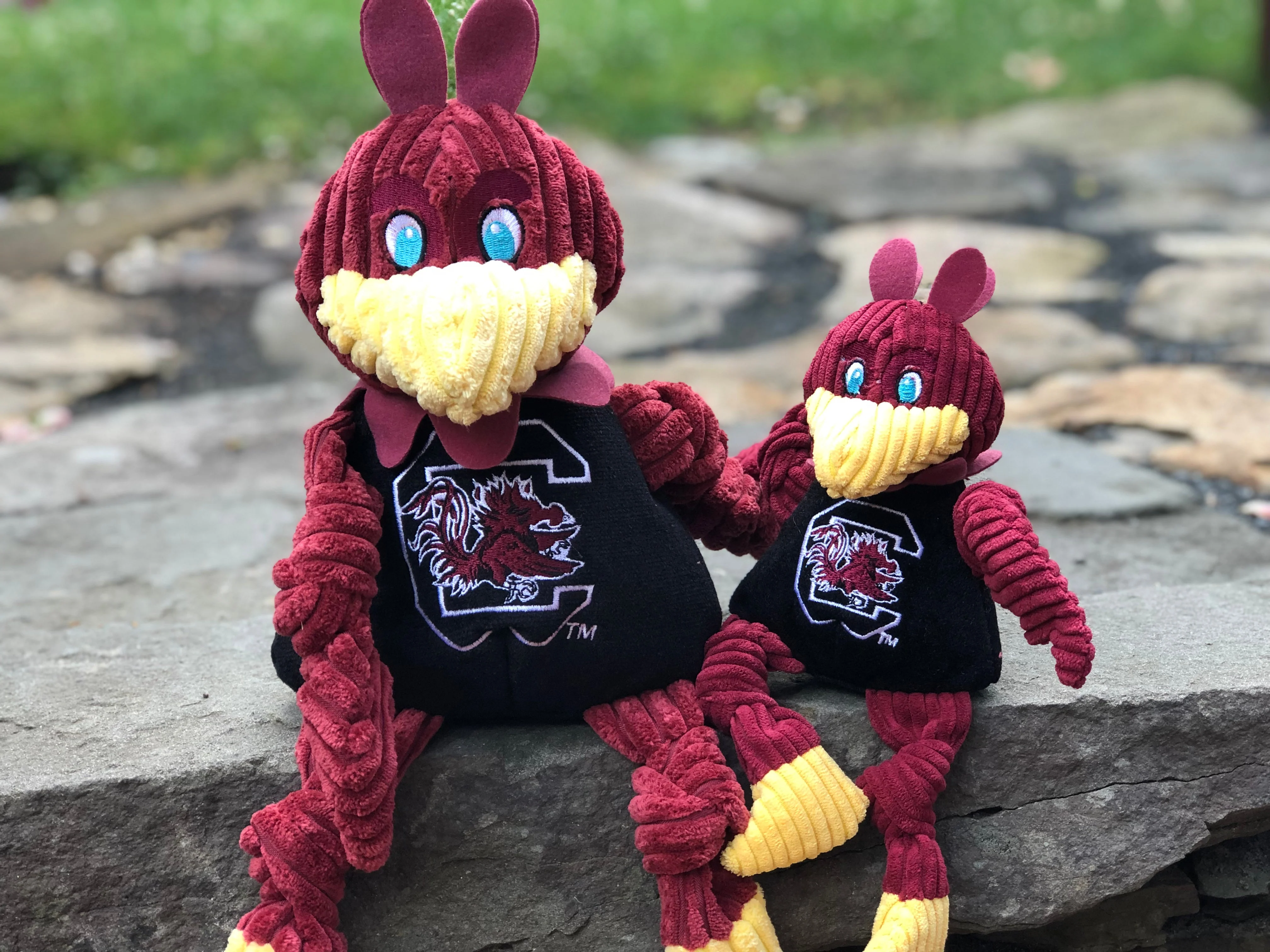 NCAA  University of South Carolina, Cocky Knottie® Plush Dog Toy - Image 5