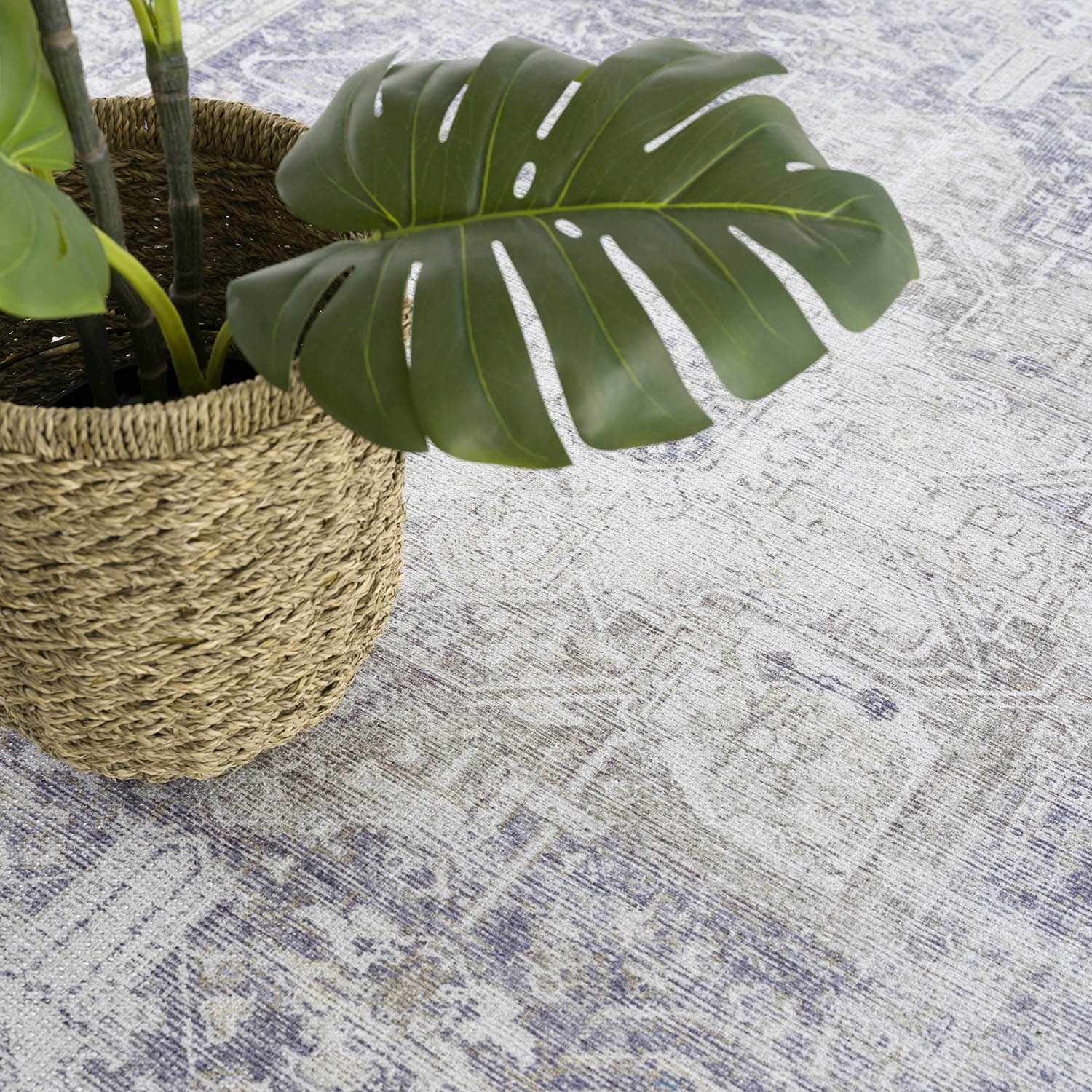 Olive Rosman Area Rug - Clearance - Image 13