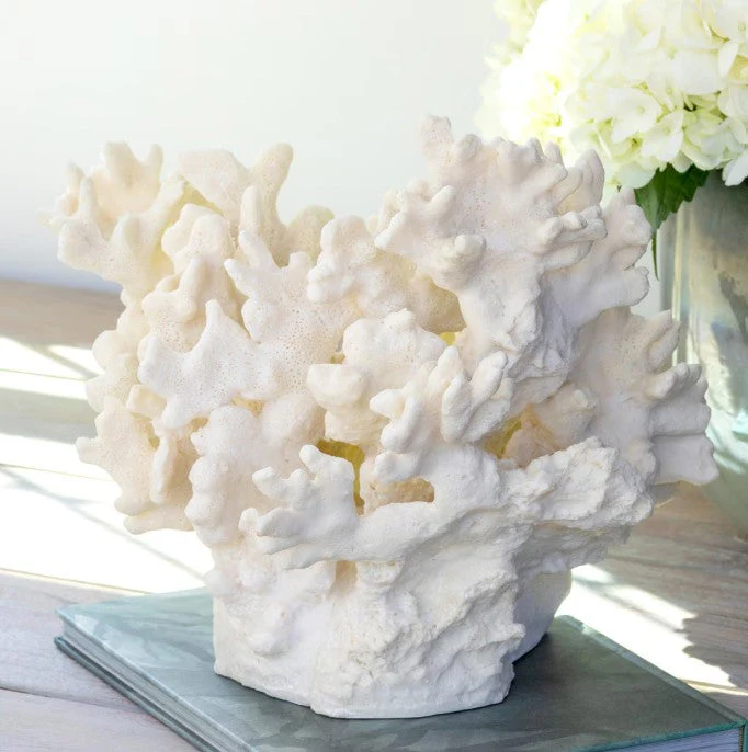 Park Hill |Maldives Faux Coral Accent, Large