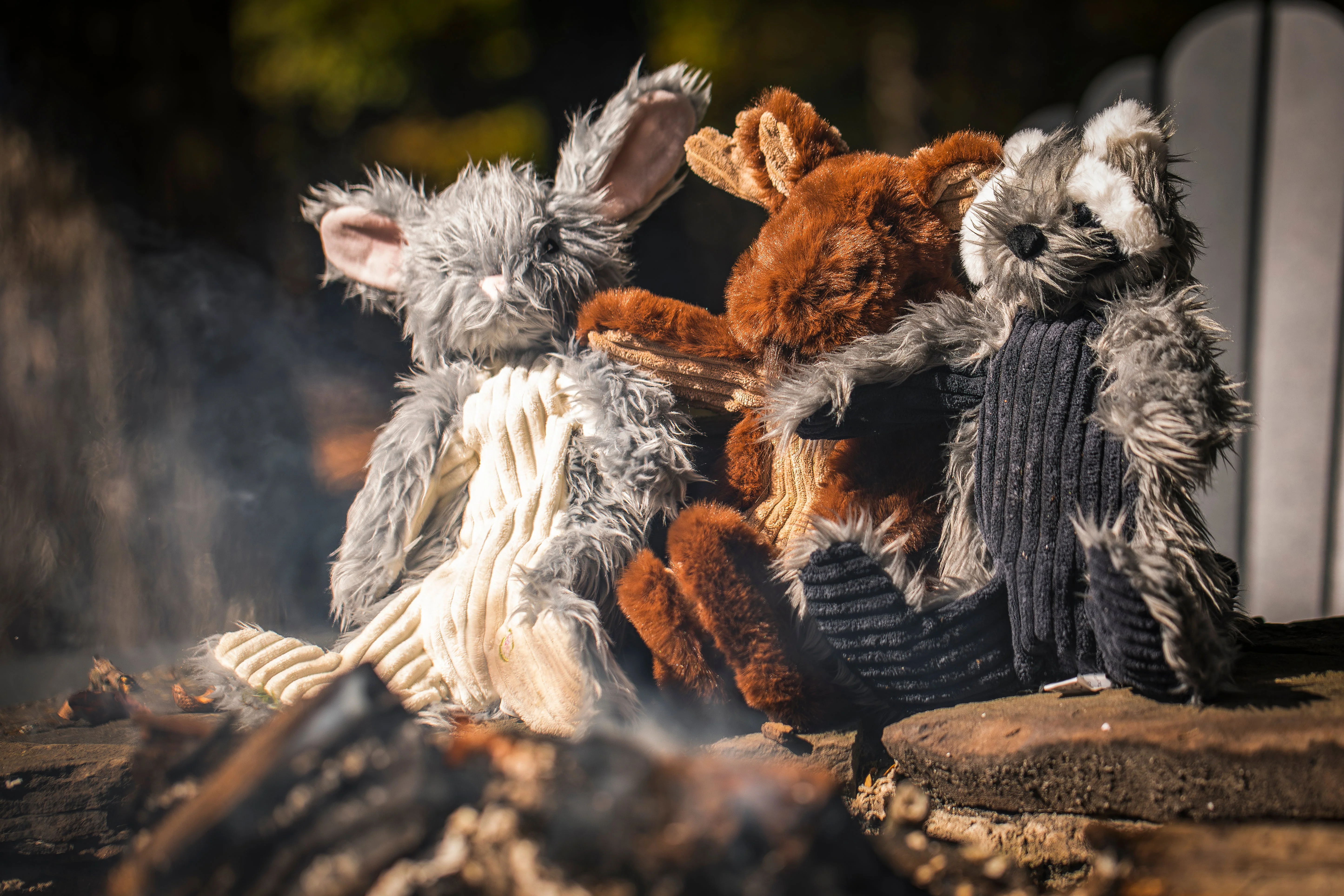Redwood Raccoon X-Brace™ Plush Dog Toy - Image 10