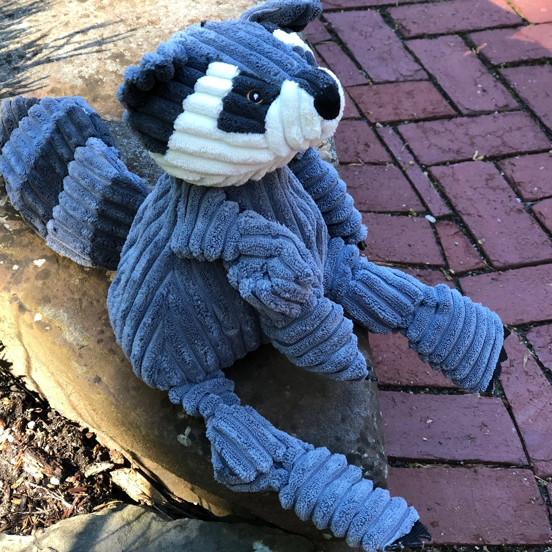 Reggie Raccoon Knottie® Plush Dog Toy - Image 8