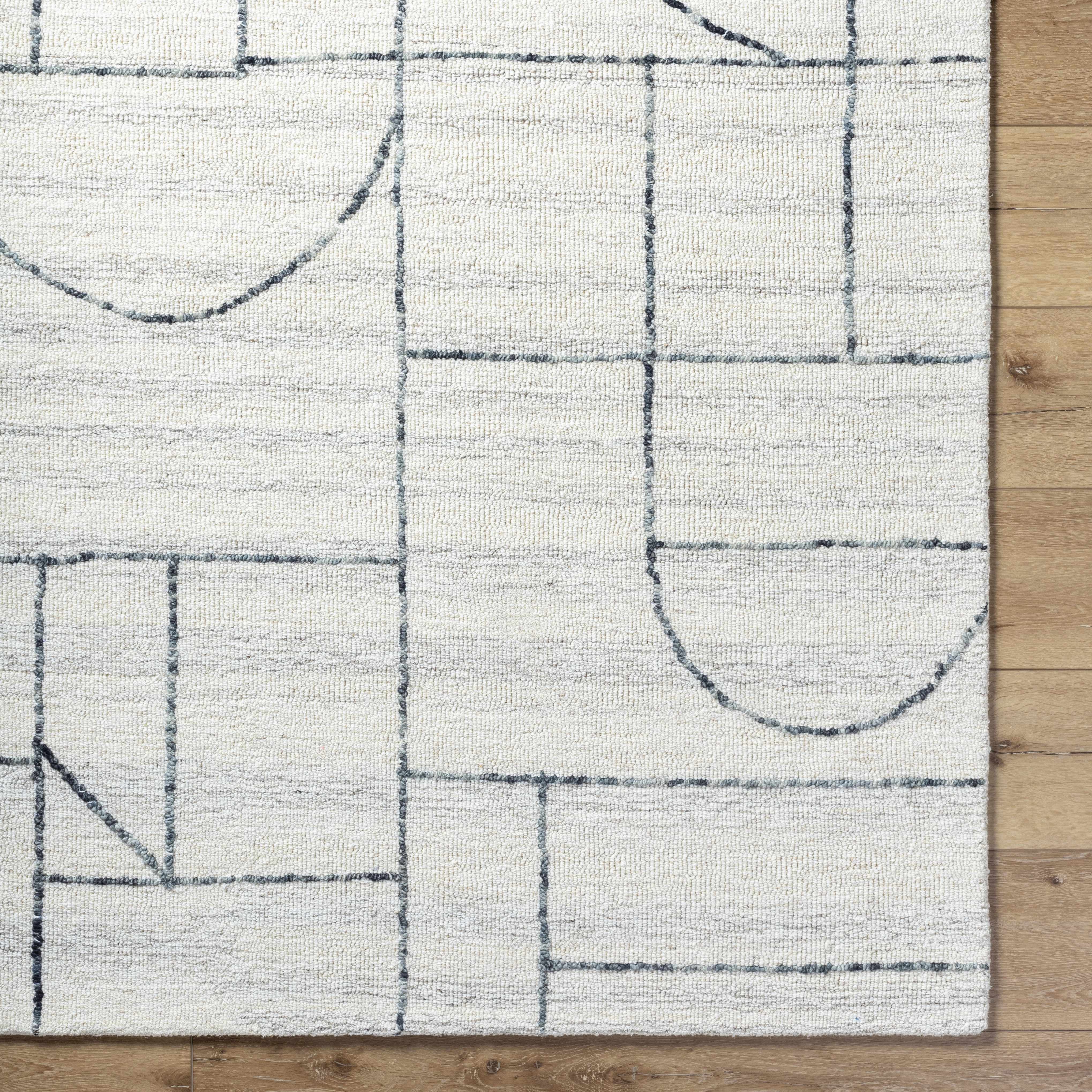 Sanaz Charcoal Area Rug - Image 7