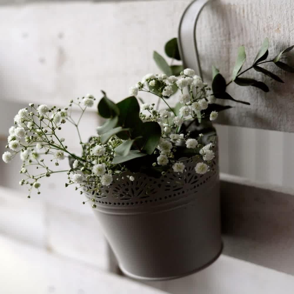 White Gypsophila Baby's Breath Flowers and Planting Tool - Image 2